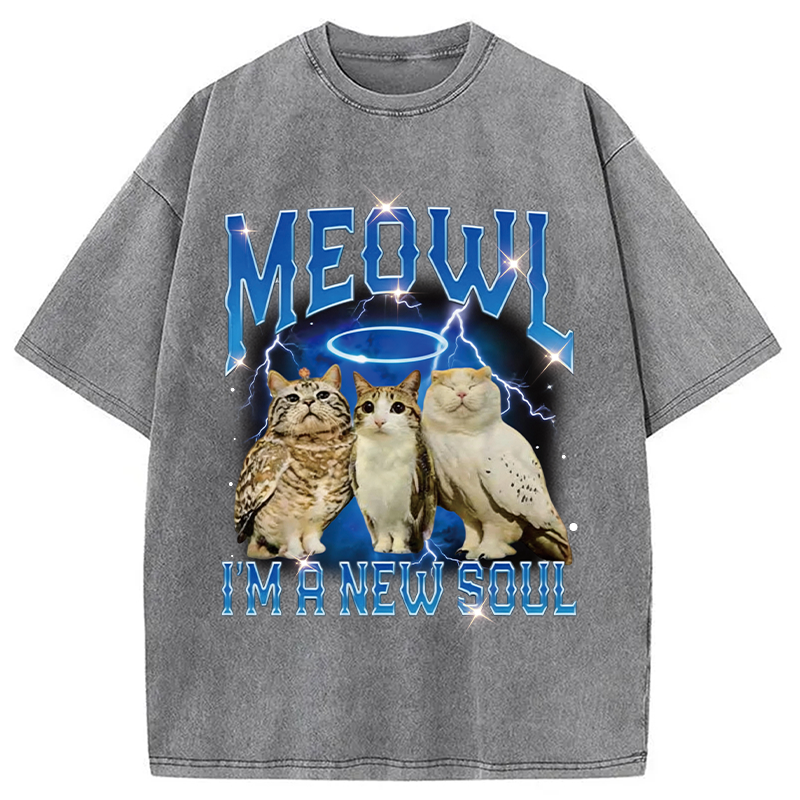 Modecanvas Meowl Cat Owl DTG Printing Washed T-Shirt