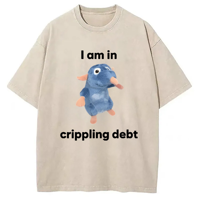 Modecanvas I Am in Crippling Debt Washed T-Shirt
