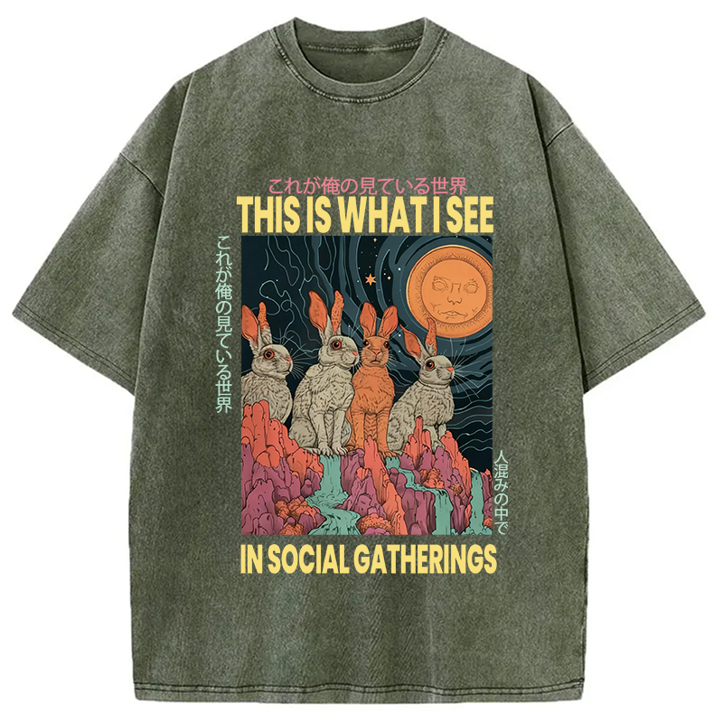 Modecanvas Funny Rabbit Japanese Social Anxiety DTG Printing Washed T-Shirt-modecanvas