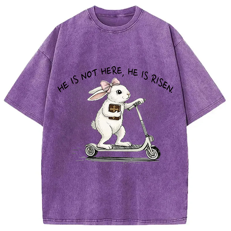 Modecanvas He Is Risen Easter Bunny DTG Printing Washed T-Shirt