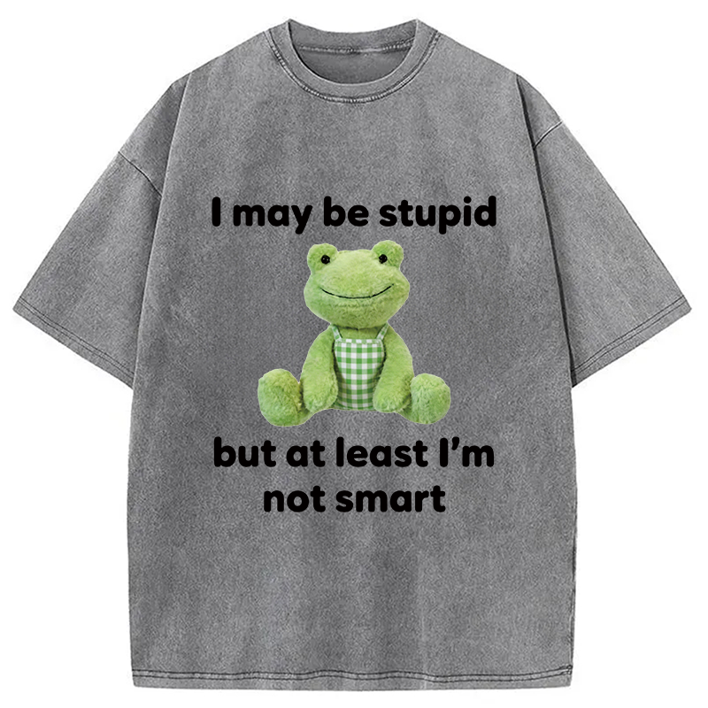Modecanvas I May Be Stupid Alcohol Lover DTG Printing Washed T-Shirt