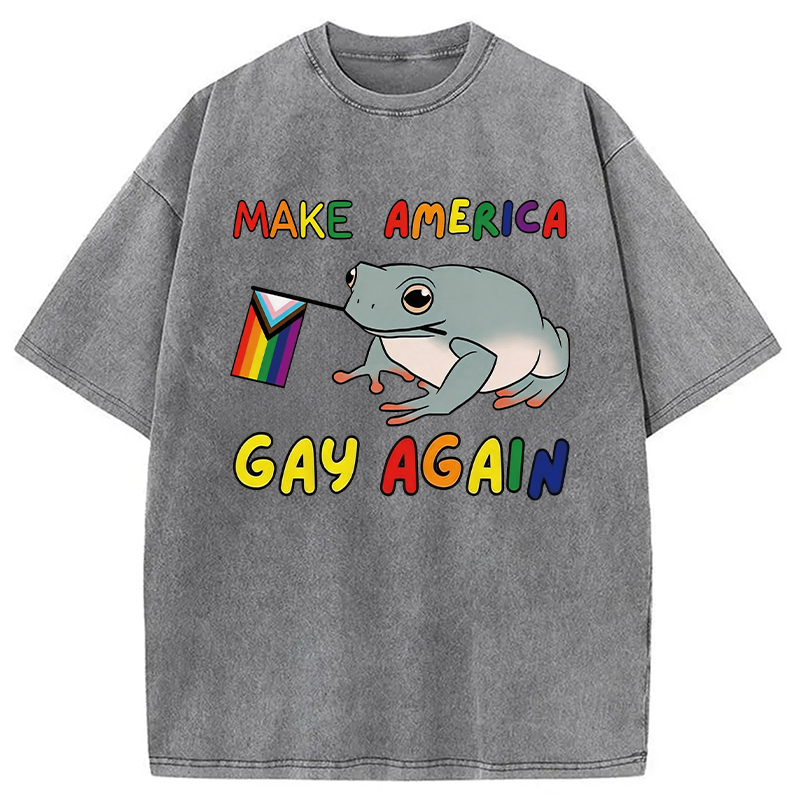 Modecanvas Make America Gay Again Pride Frog DTG Printing Washed T-Shirt
