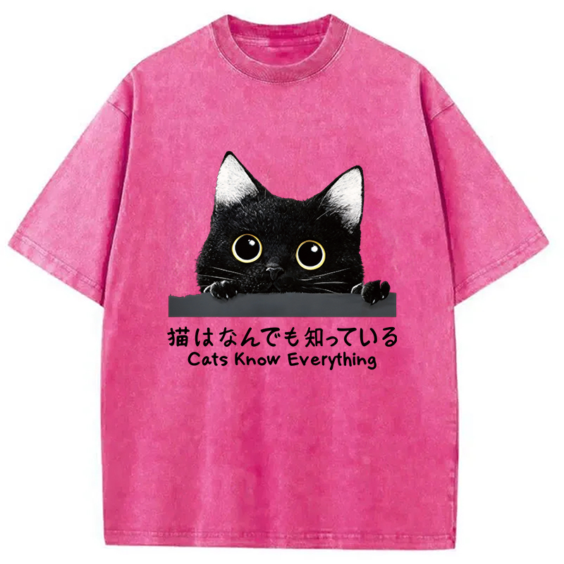 Modecanvas Cats Know Everything DTG Printing Washed T-Shirt-modecanvas