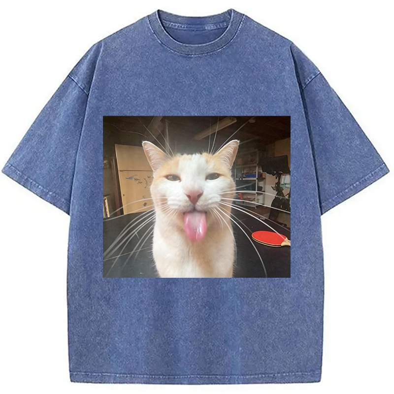 Modecanvas Silly Bleh Funny Cat Meme DTG Printing Washed T-Shirt