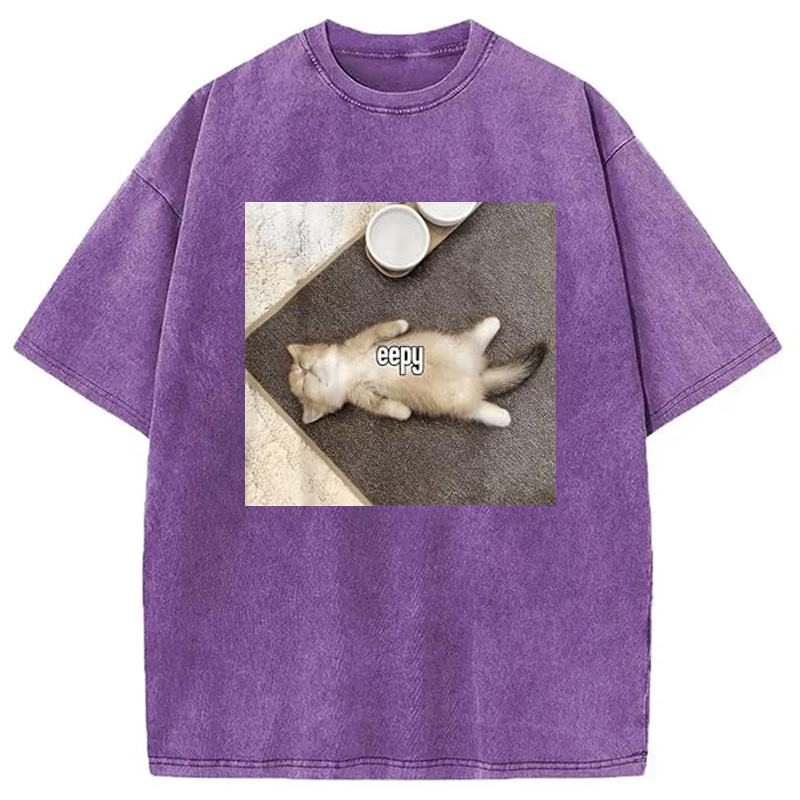 Modecanvas Eepy Funny Cat Meme Washed T-Shirt