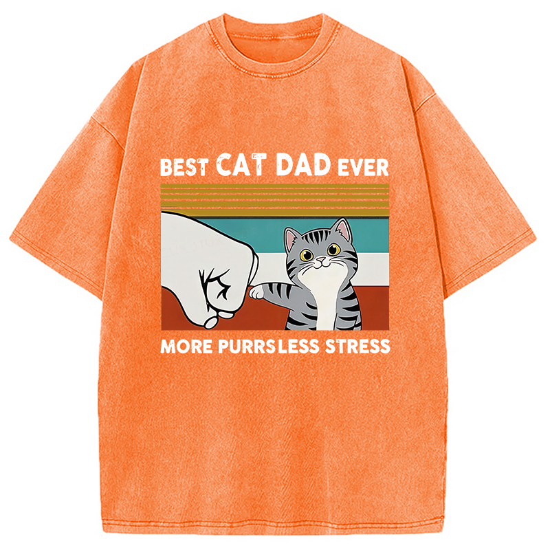 Modecanvas Funny Cat Dad Washed T-Shirt