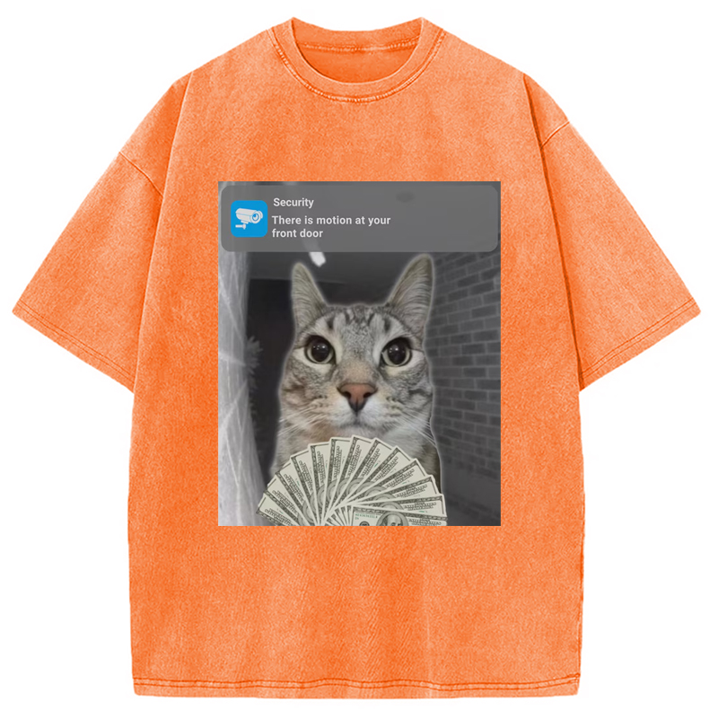 Modecanvas Ring Cat with Motion Meme Washed T-Shirt