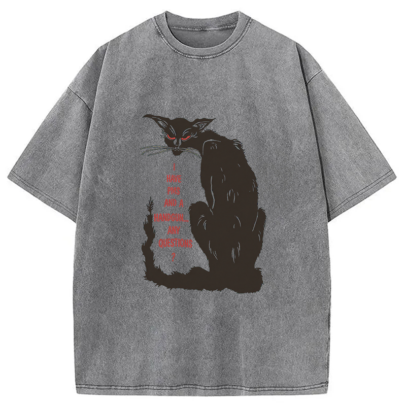 Modecanvas I Have PMS And A Handgun Any Questions? DTG Printing Washed T-Shirt