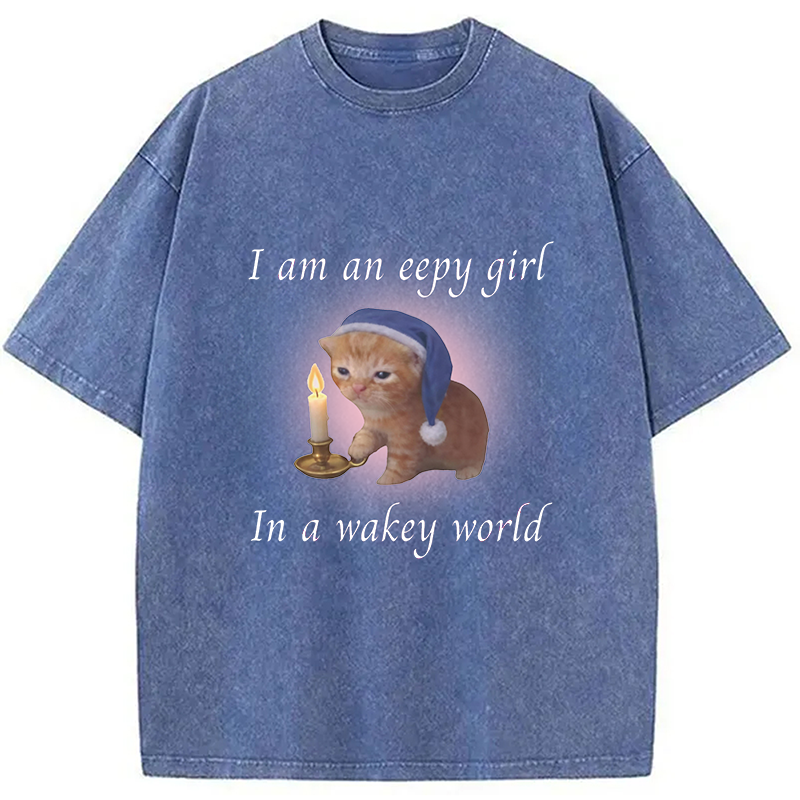 Modecanvas Eepy Girl Cat Meme DTG Printing Washed T-Shirt