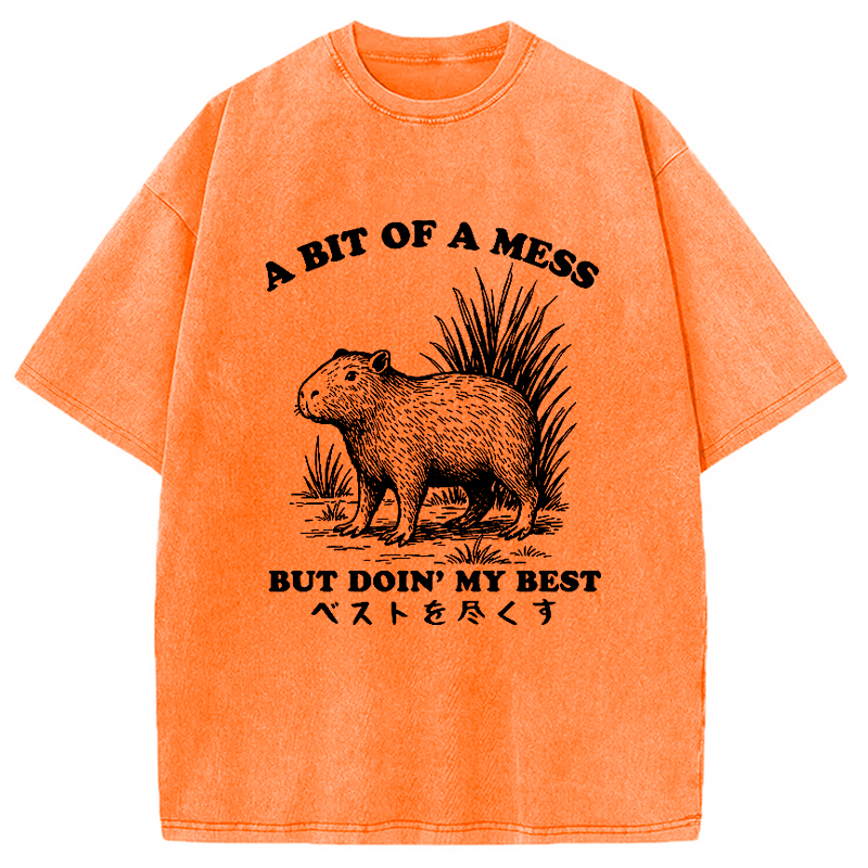 Modecanvas Capybara Doing Its Best Washed T-Shirt