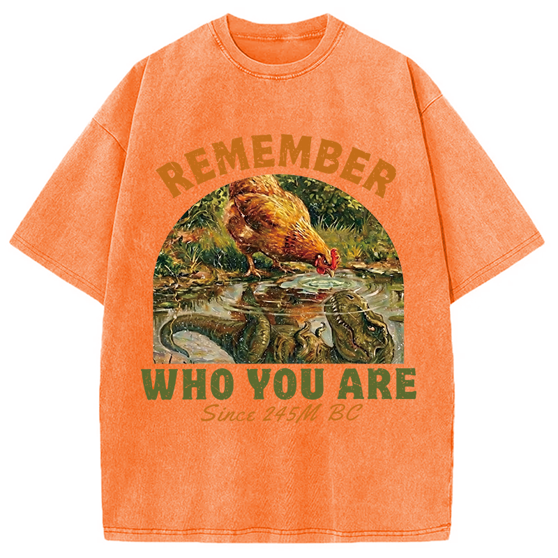 Modecanvas Remember Who You Are Funny DTG Printing Washed T-Shirt