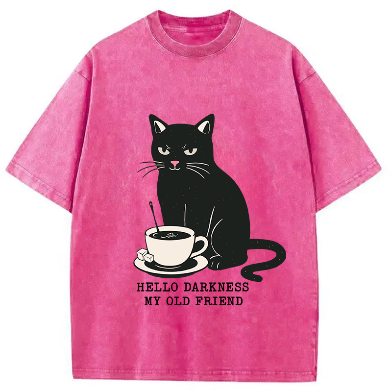 Modecanvas My Old Friend Washed T-Shirt