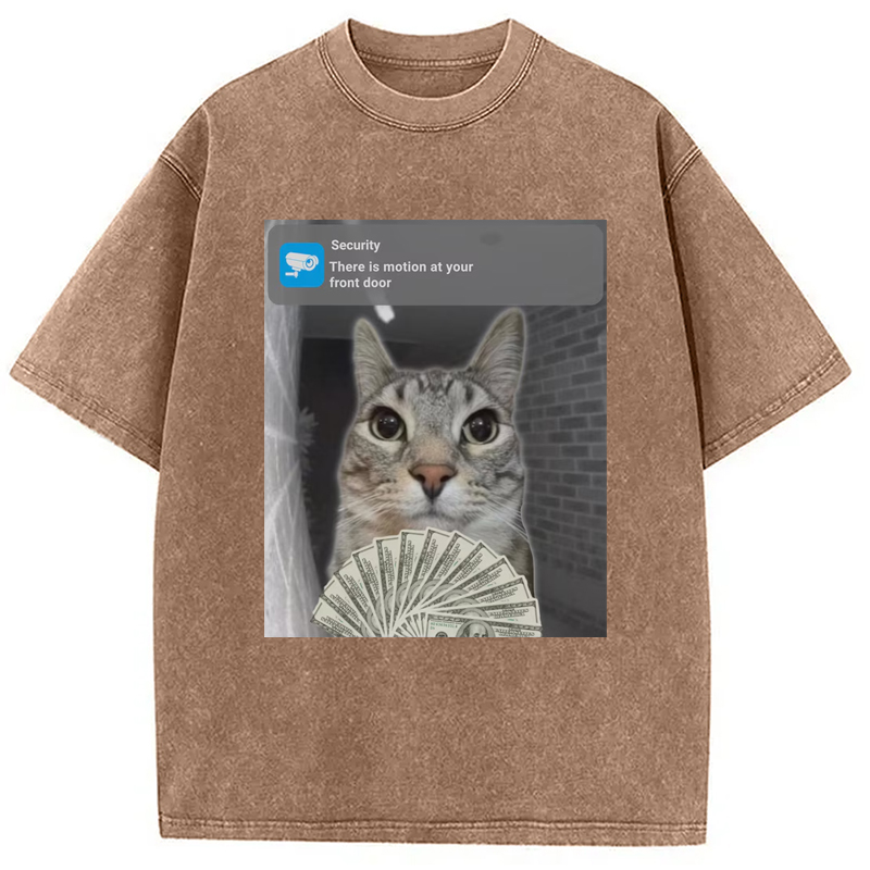 Modecanvas Ring Cat with Motion Meme Washed T-Shirt