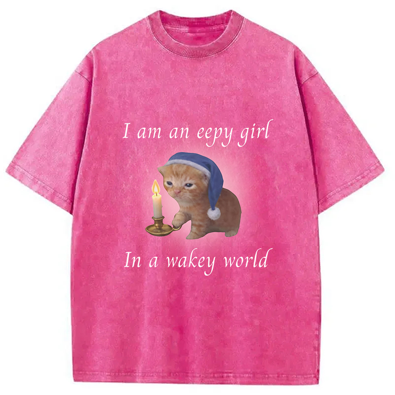 Modecanvas Eepy Girl Cat Meme DTG Printing Washed T-Shirt
