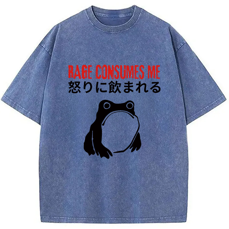 Modecanvas Rage Consumes Me Frog Meme DTG Printing Washed T-Shirt
