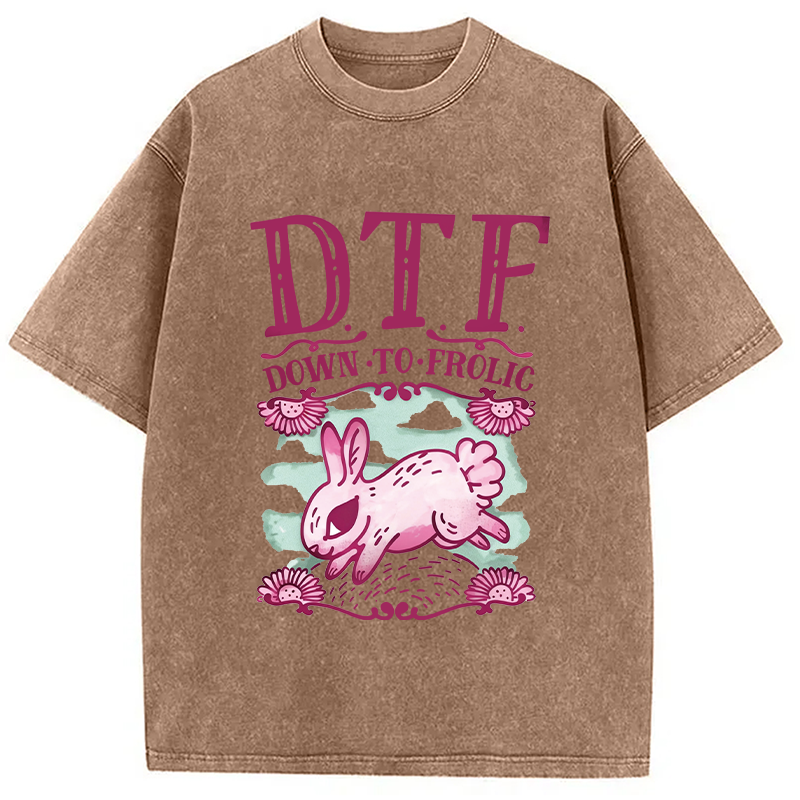 Modecanvas DTF Down To Frolic DTG Printing Washed T-Shirt