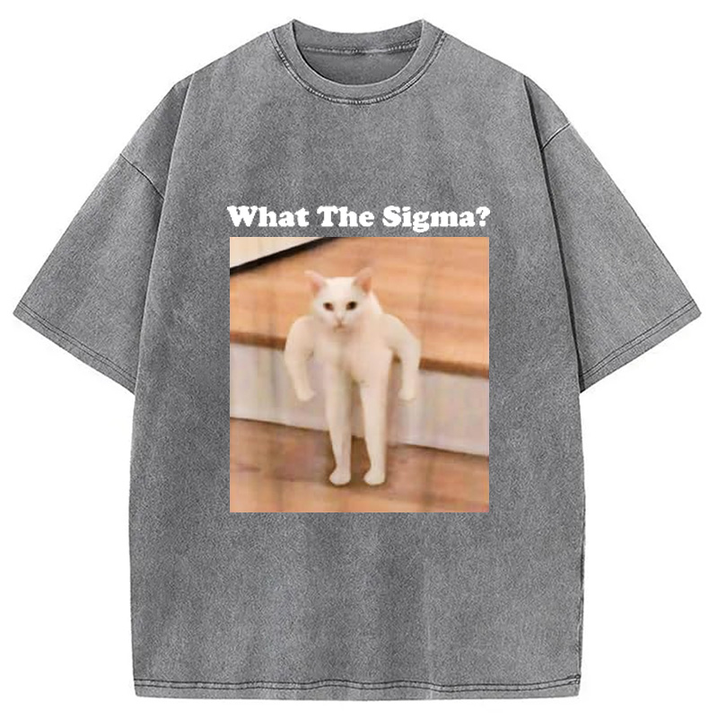 Modecanvas What Sigma Cat Meme Washed T-Shirt