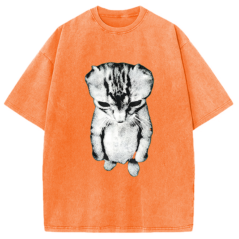Modecanvas El Gato Munchkin Kitten DTG Printing Washed T-Shirt