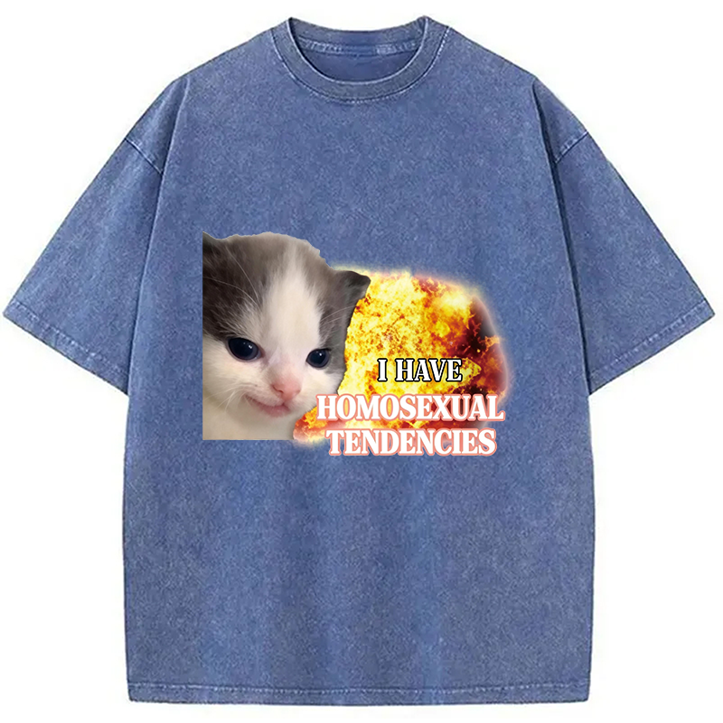 Modecanvas I Have Homosexual Tendencies Evil Kitty Meme DTG Printing Washed T-Shirt