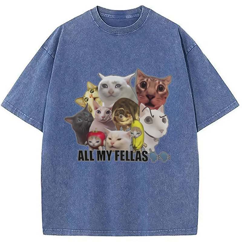 Modecanvas All My Fellas Internet Cats Meme Washed T-Shirt