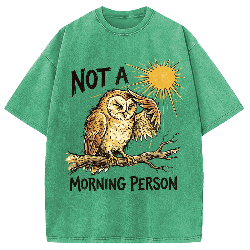 Modecanvas Grumpy Owl Not A Morning Person Funny DTG Printing Washed T-Shirt