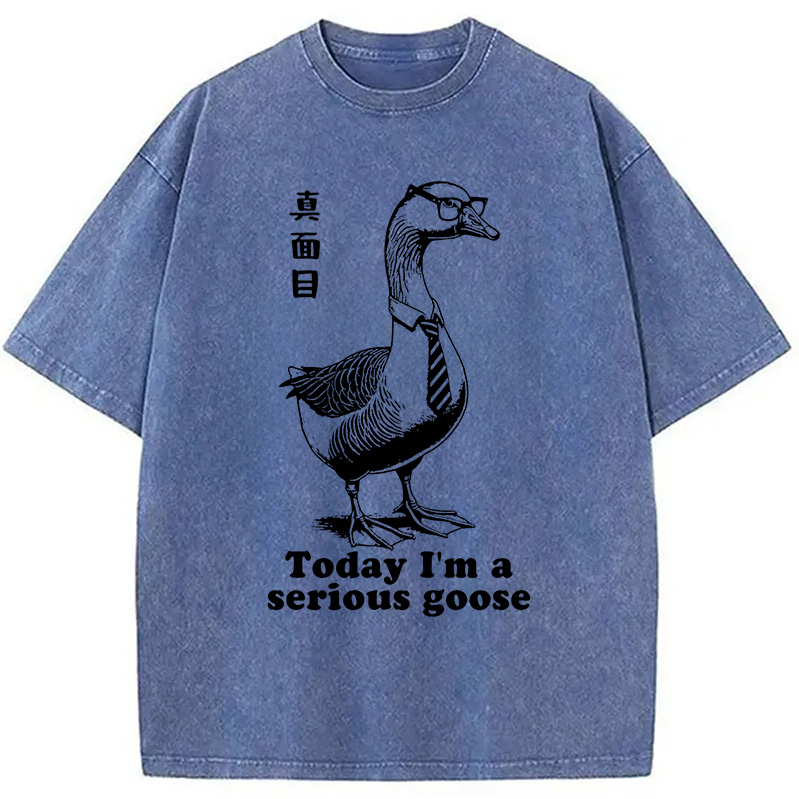 Modecanvas Serious Goose Washed T-Shirt