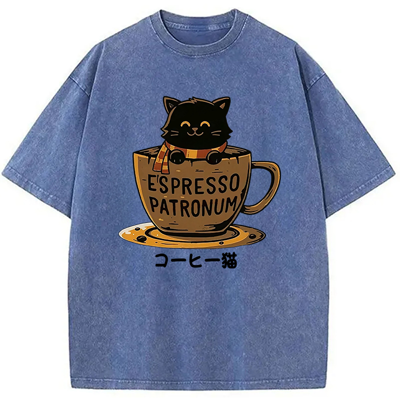 Modecanvas Cat In A Coffee Cup Washed T-Shirt