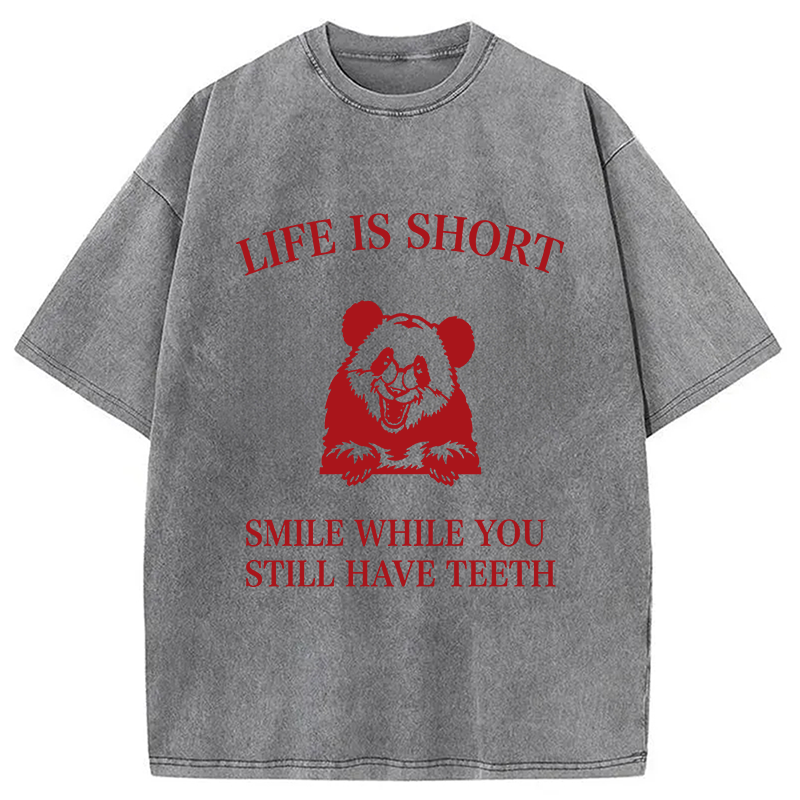 Modecanvas Funny Panda Ironic DTG Printing Washed T-Shirt