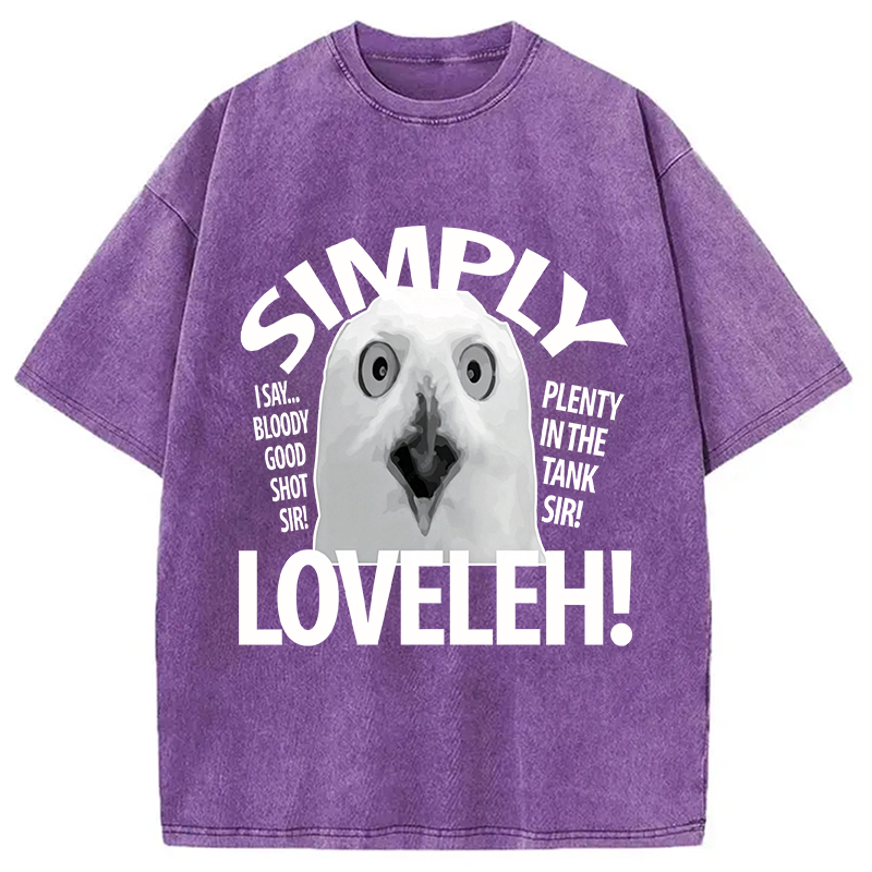 Modecanvas Simply Loveleh Owl DTG Printing Washed T-Shirt