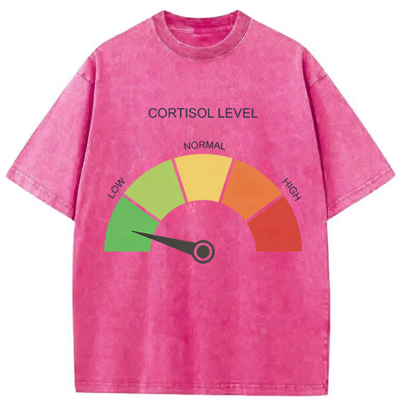 Modecanvas Cortisol Level Meme DTG Printing Washed T-Shirt