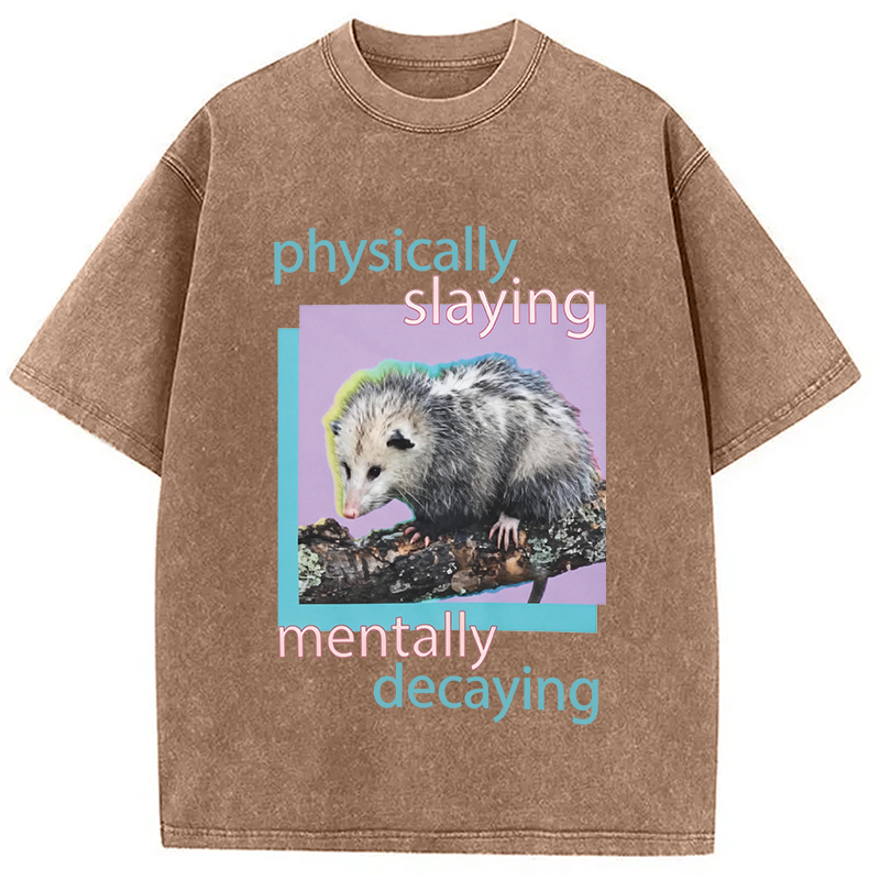 Modecanvas Physically Slaying Mentally Decaying DTG Printing Washed T-Shirt