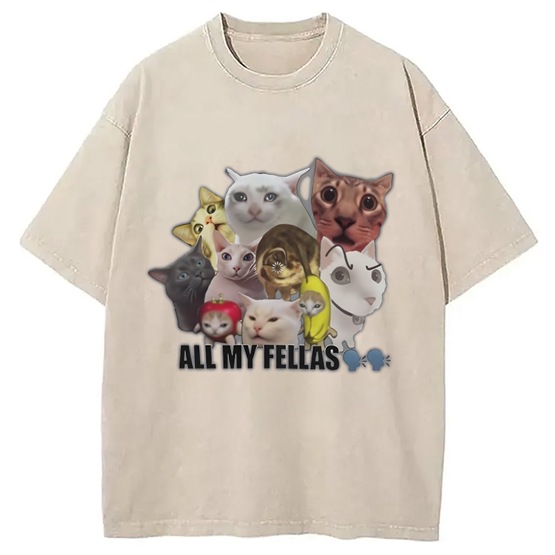 Modecanvas All My Fellas Internet Cats Meme Washed T-Shirt