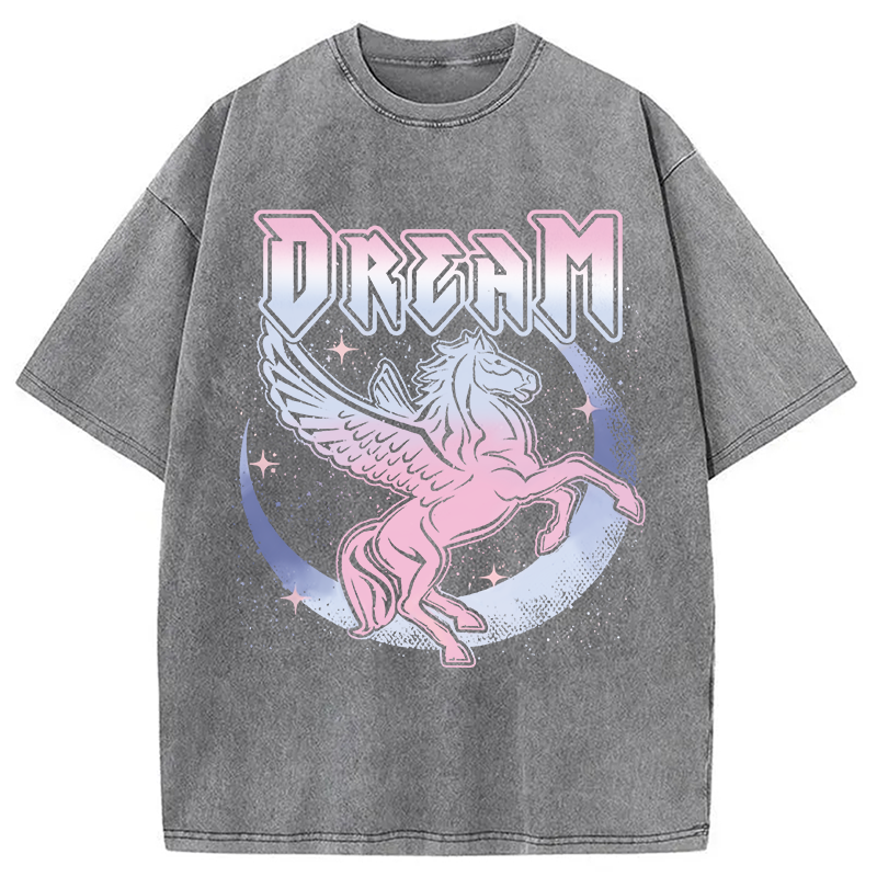 Modecanvas Dream Pegasus DTG Printing Washed T-Shirt