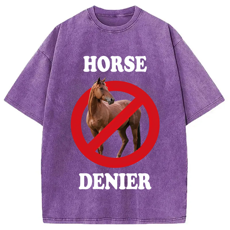 Modecanvas Horse Denier Meme DTG Printing Washed T-Shirt