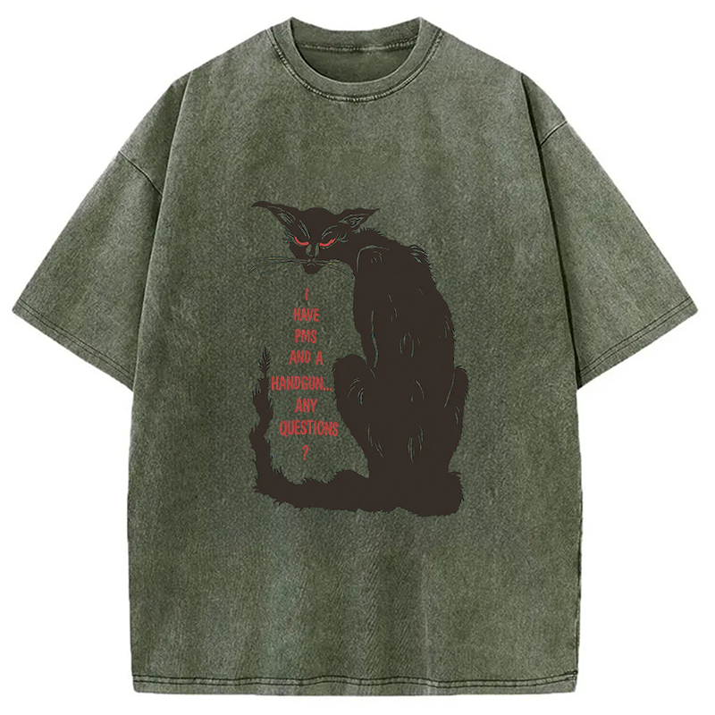 Modecanvas I Have PMS And A Handgun Any Questions? DTG Printing Washed T-Shirt
