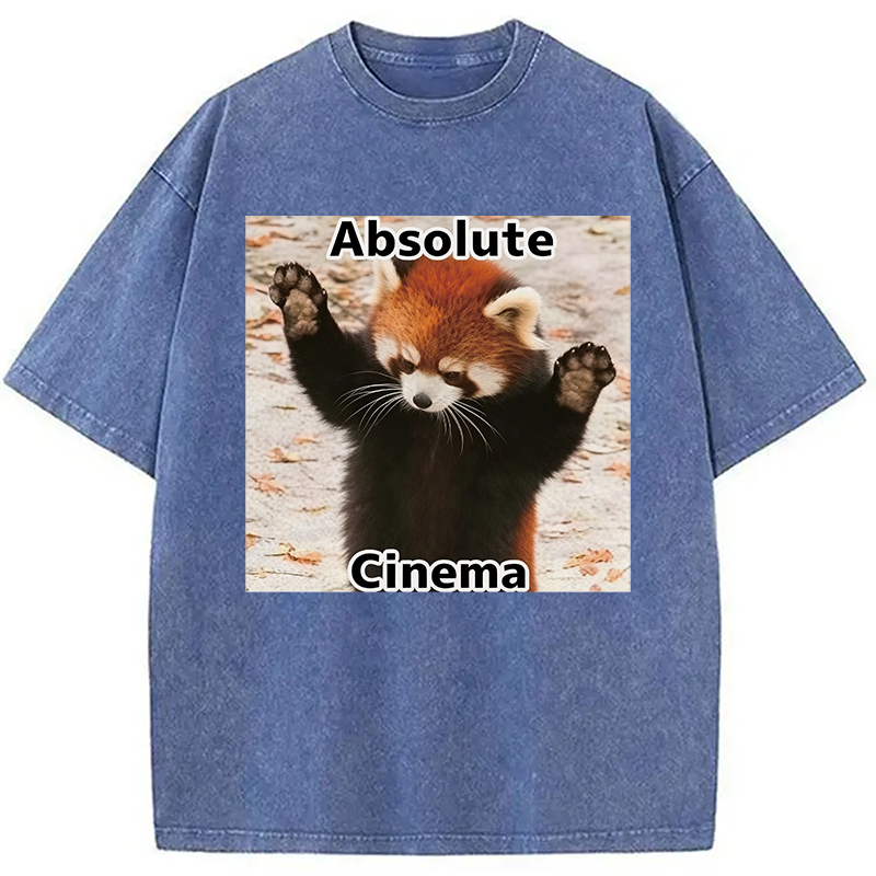 Modecanvas Absolute Cinema DTG Printing Washed T-Shirt
