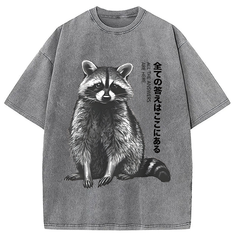 Modecanvas Funny Kawaii Raccoon Washed T-Shirt
