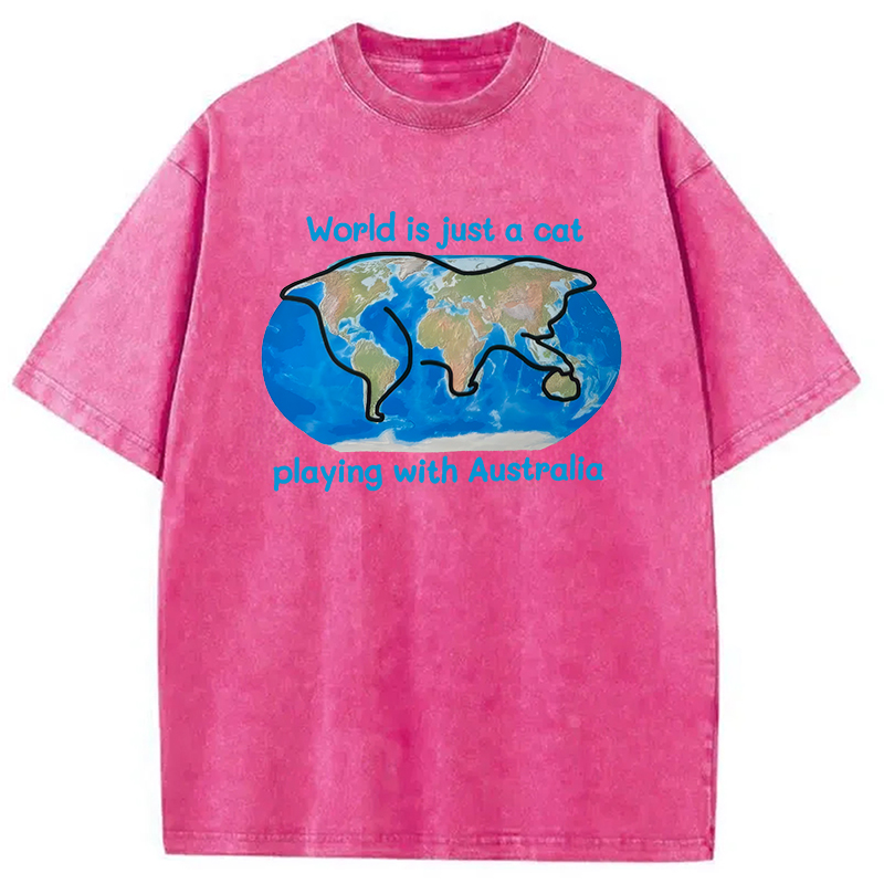 Modecanvas World is Just a Cat DTG Printing Washed T-Shirt