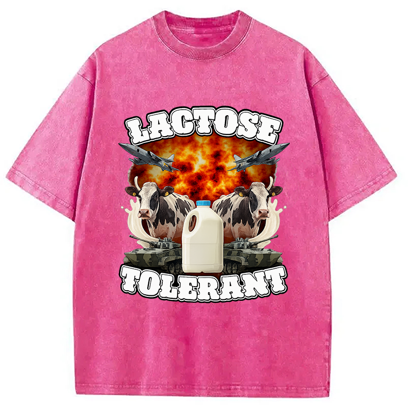 Modecanvas Lactose Tolerant Funny Meme Washed T-Shirt-modecanvas