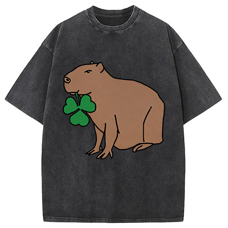 Modecanvas Cute Capybara with Shamrock DTG Printing Washed T-Shirt