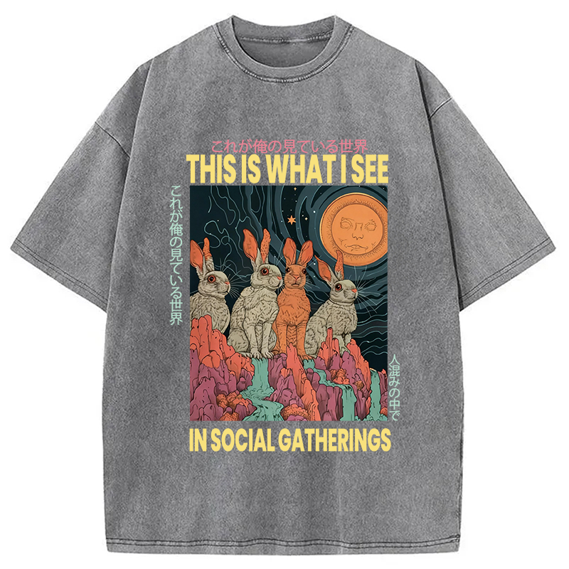 Modecanvas Funny Rabbit Japanese Social Anxiety DTG Printing Washed T-Shirt-modecanvas