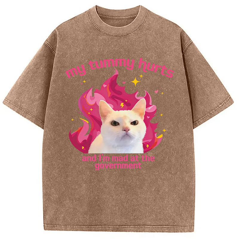 Modecanvas My Tummy Hurts Funny Cat Meme DTG Printing Washed T-Shirt