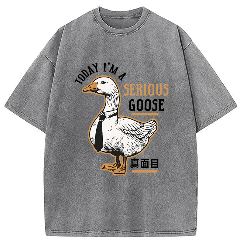 Modecanvas Japanese Serious Goose Washed T-Shirt
