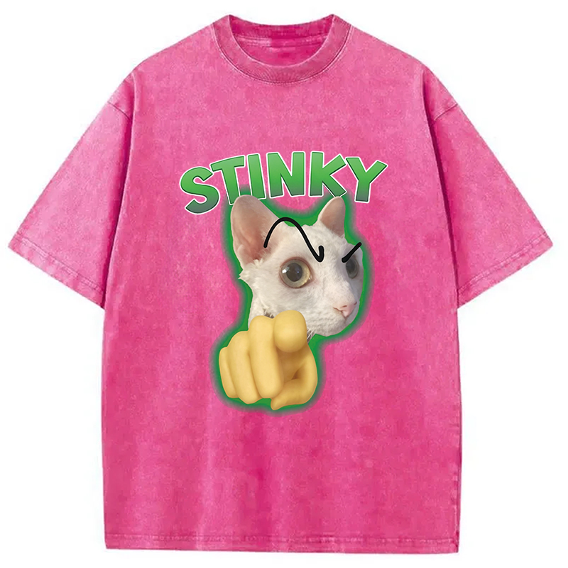 Modecanvas Stinky Funny Cat Meme DTG Printing Washed T-Shirt