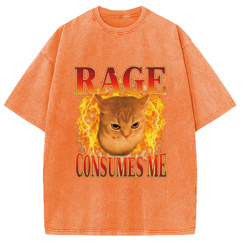Modecanvas Rage Consumes Me Edgy Funny Cat Meme Washed T-Shirt-modecanvas