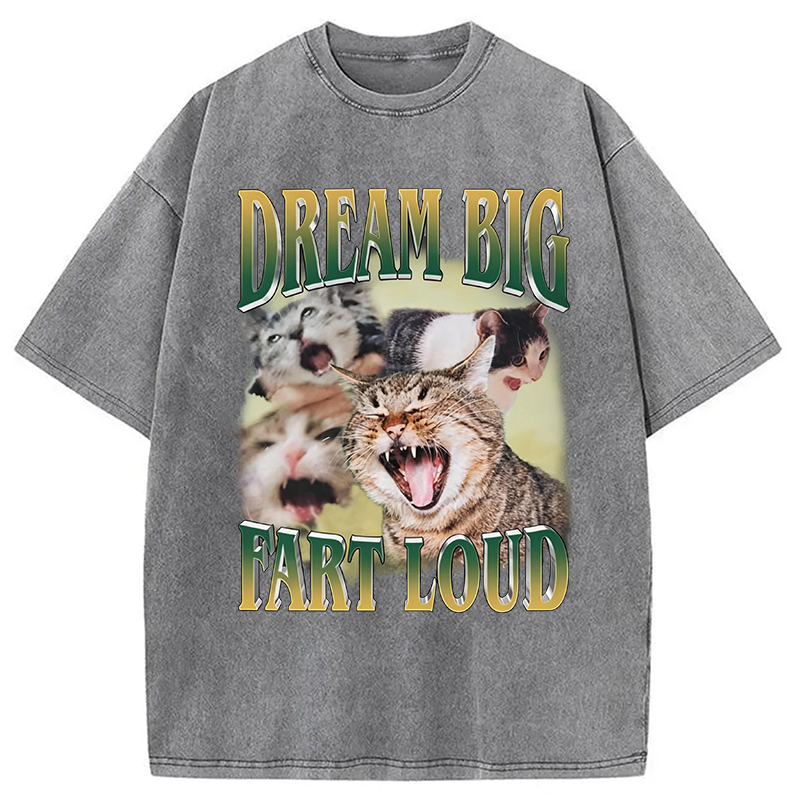 Modecanvas Dream Big Fart Loud Funny Cat Meme DTG Printing Washed T-Shirt