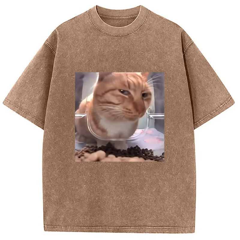 Modecanvas Funny Cat Meme Washed T-Shirt