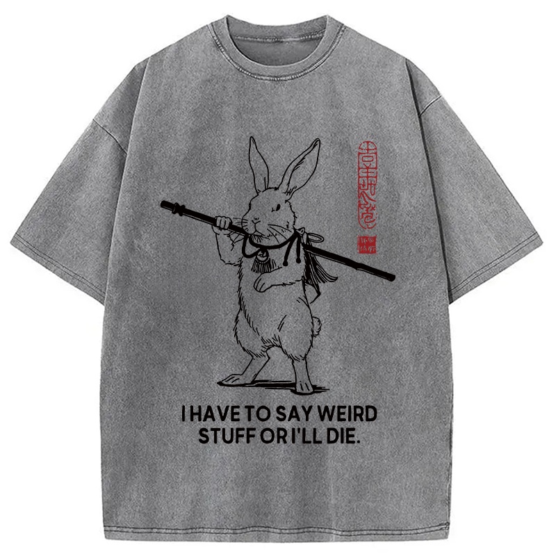 Modecanvas I Have To Say DTG Printing Washed T-Shirt