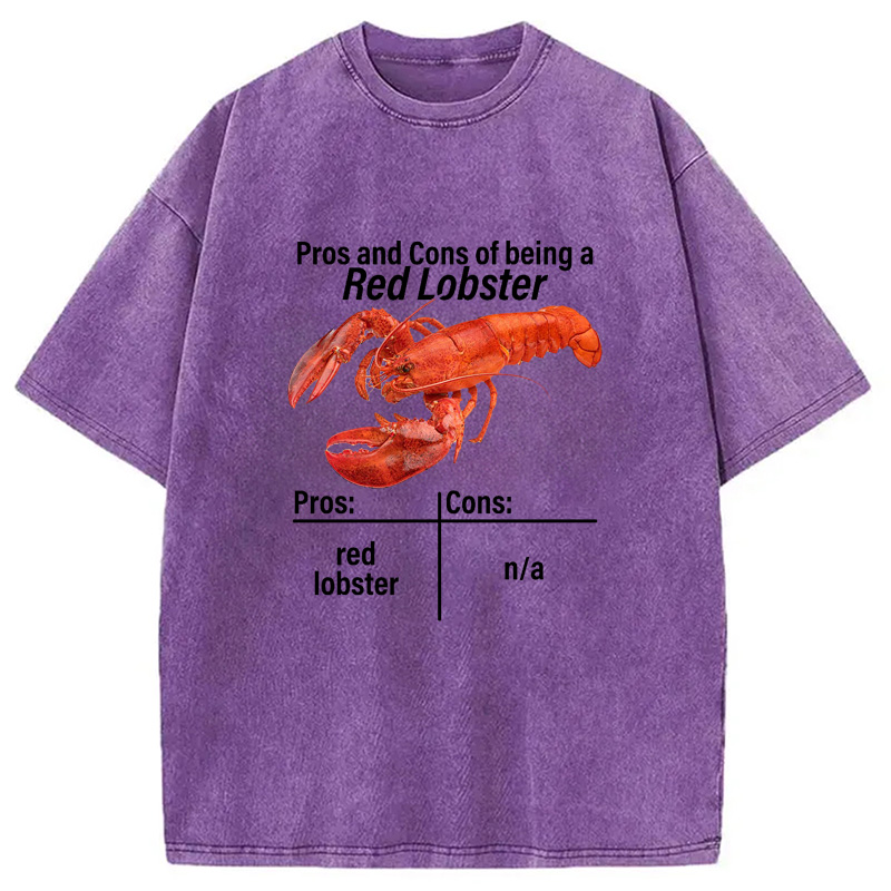 Modecanvas Pros And Cons Washed T-Shirt