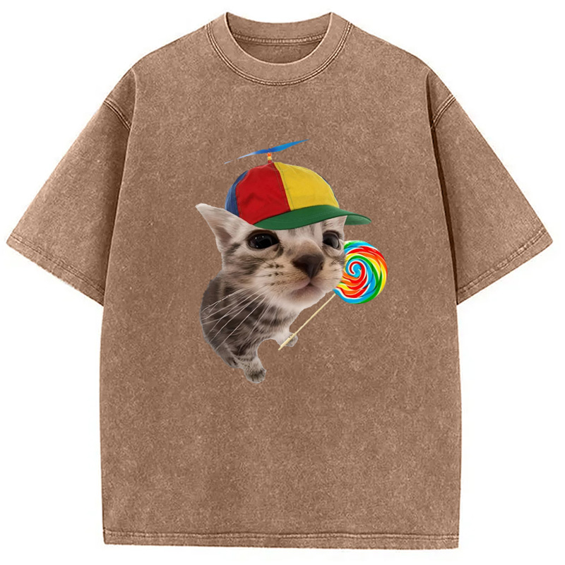 Modecanvas Cat With Lollipop And Hat Washed T-Shirt-modecanvas